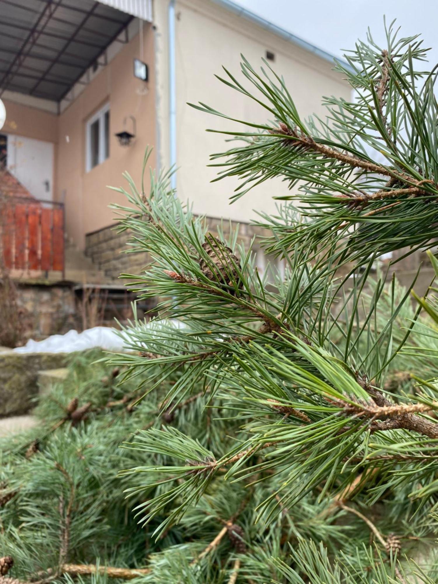 Seosko Turisticko Domacinstvo Stanisic Apartamento Kalna Exterior foto